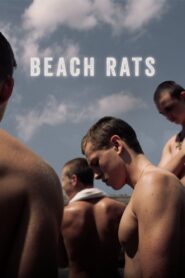 Ratos de Praia