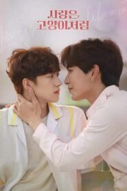 Love Is Like A Cat: Season 1